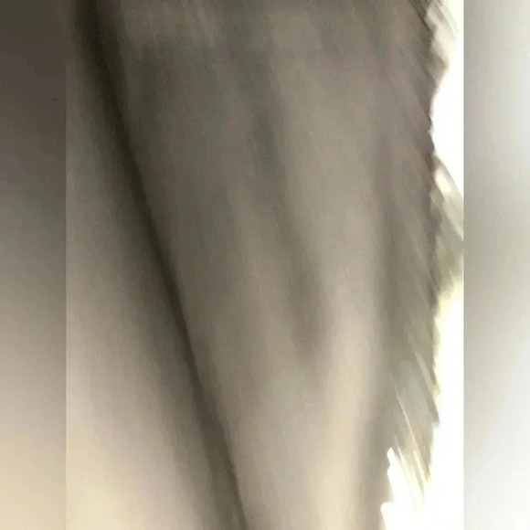 VENUS Black Sequin Trim Pants - Picture 3 of 12